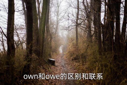 own和owe的區別和聯系