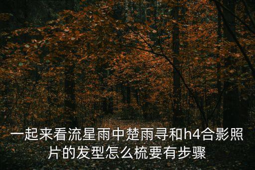 一起來看流星雨中楚雨尋和h4合影照片的發型怎么梳要有步驟