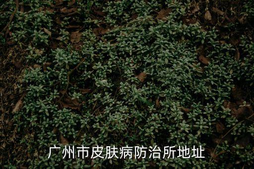 廣州市越秀區師好巷地址，廣州市陸軍總醫院詳細地址在那里
