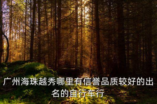廣州海珠越秀哪里有信譽品質較好的出名的自行車行
