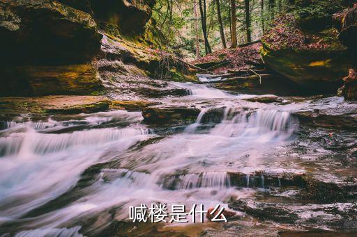 喊樓是什么