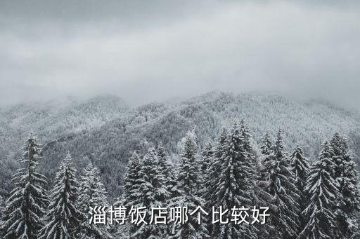 淄博飯店哪個比較好