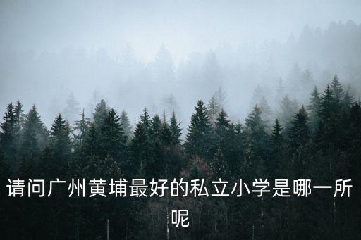 廣州黃埔怡瑞小學好嗎，請問廣州黃埔最好的私立小學是哪一所呢
