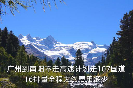 廣州回南陽走國道，請問從南召縣南河店鎮區廣州走207國道可以嗎