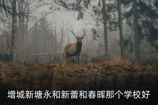 增城新塘永和新蕾和春暉那個學校好
