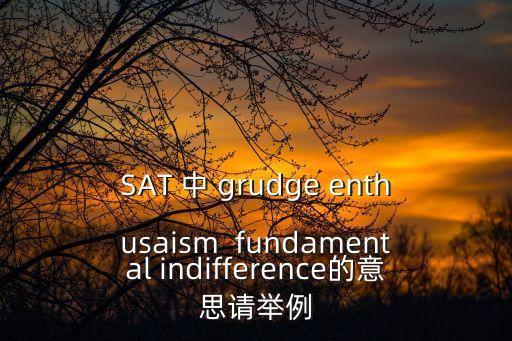 SAT 中 grudge enthusaism  fundamental indifference的意思請舉例