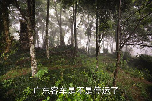 廣州停運省際長途客運線，廣州南站為什么沒有省際班車
