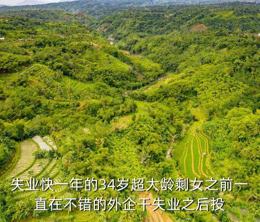 失業快一年的34歲超大齡剩女之前一直在不錯的外企干失業之后投