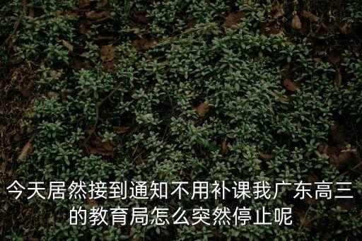 今天居然接到通知不用補(bǔ)課我廣東高三的教育局怎么突然停止呢