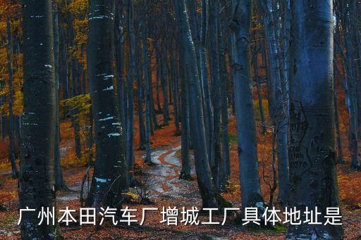 廣州增城區(qū)新塘鎮(zhèn)塘美工業(yè)園A1棟，福耀玻璃發(fā)展有限公司在哪兒