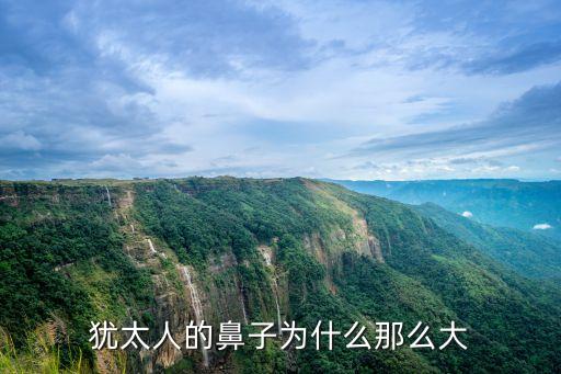 猶太鼻，如何辨認(rèn)袋鼻