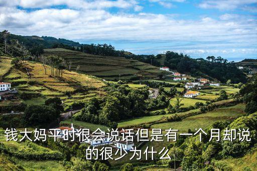 廣州投資錢大媽多久收回，錢大媽平時很會說話但是有一個月卻說的很少為什么