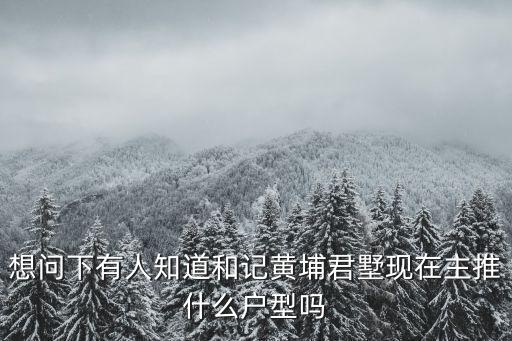 想問下有人知道和記黃埔君墅現在主推什么戶型嗎