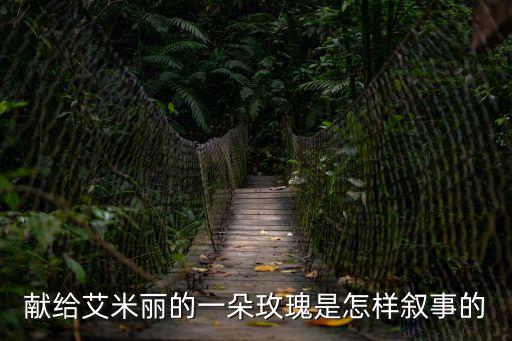 獻給艾米麗的一朵玫瑰是怎樣敘事的