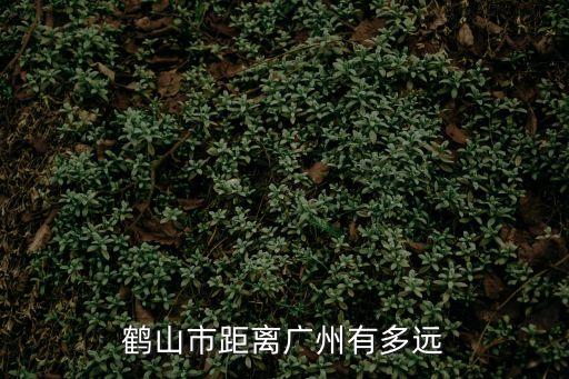 鶴山市距離廣州有多遠