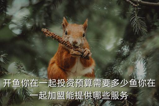 開魚你在一起投資預(yù)算需要多少魚你在一起加盟能提供哪些服務(wù)
