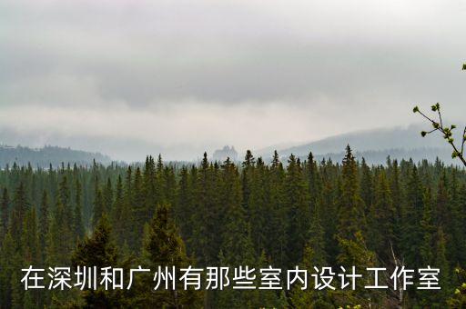 在深圳和廣州有那些室內(nèi)設(shè)計(jì)工作室