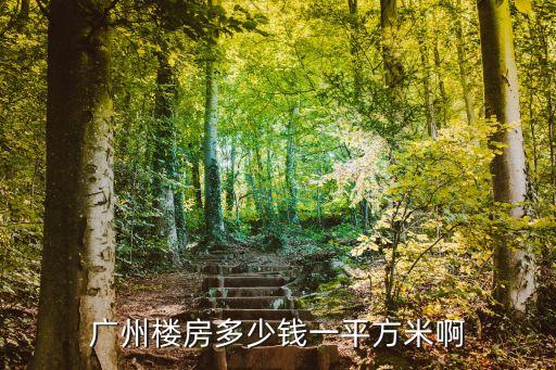 廣州駿御華庭小區房價，廣州房價現在多少錢一平方有降價了嗎