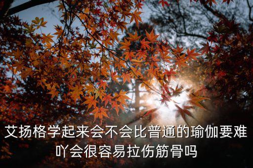 艾揚格學起來會不會比普通的瑜伽要難吖會很容易拉傷筋骨嗎