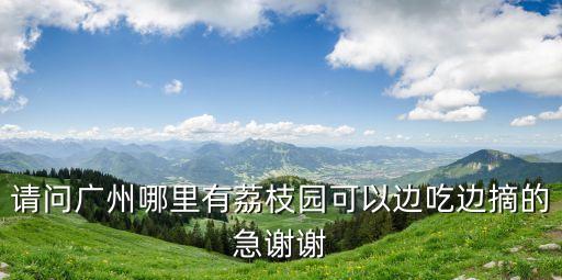 廣州周邊哪里摘荔枝好，請問廣州哪里有荔枝園可以邊吃邊摘的急謝謝