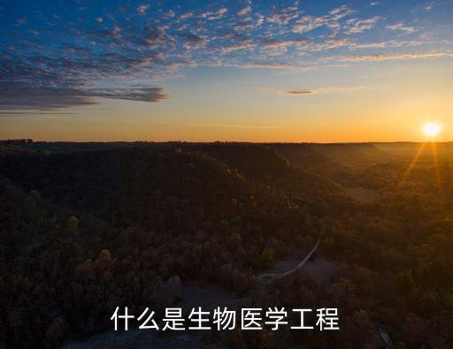 生物醫學工程，什么是生物醫學工程