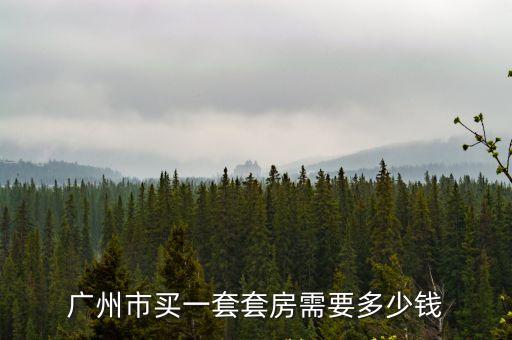 廣州市買一套套房需要多少錢(qián)