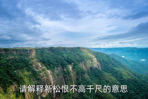 請解釋新松恨不高千尺的意思