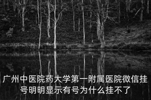 廣州中醫(yī)院藥大學第一附屬醫(yī)院微信掛號明明顯示有號為什么掛不了