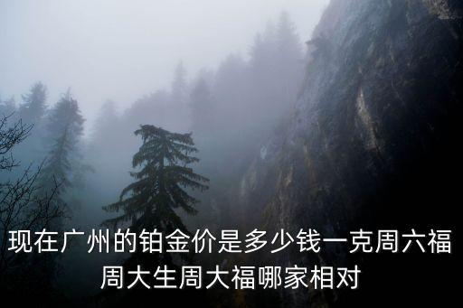 現在廣州的鉑金價是多少錢一克周六福周大生周大福哪家相對