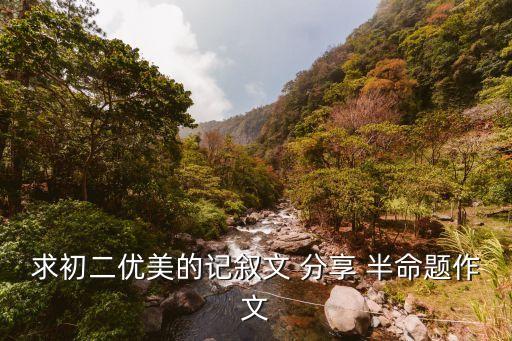 初二優秀作文，幾篇初二優秀作文