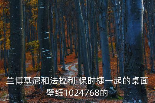 蘭博基尼和法拉利 保時捷一起的桌面壁紙1024768的