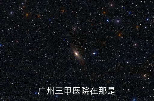 廣州智慧城三甲醫院，廣州正規的三甲醫院有哪些離南沙金洲最近的