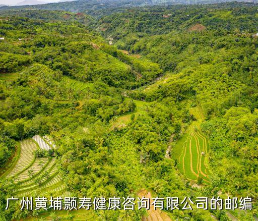 廣州市黃埔區余建紅，廣州黃埔東路2801號景盛創意園A棟有沒有廣州弘運物流服務有限公