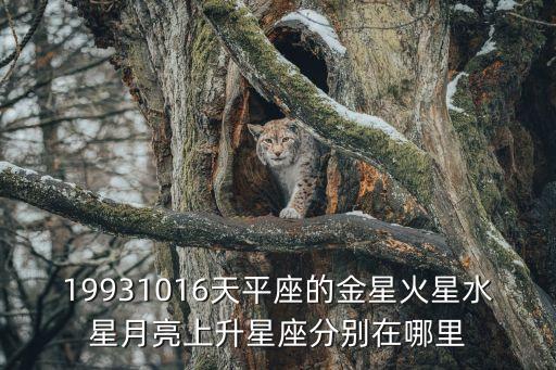 火星天秤，天平座的性格愛好