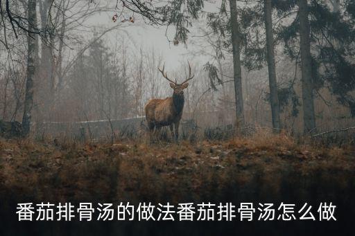 番茄排骨湯的做法番茄排骨湯怎么做
