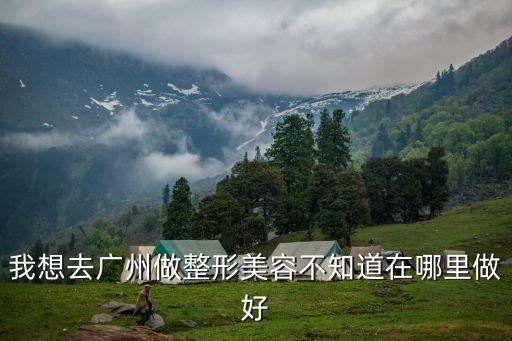 美容去廣州，我想去廣州做整形美容不知道在哪里做好