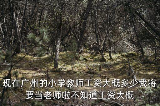 廣州罡的教育工資，現在廣州的小學教師工資大概多少我將要當老師啦不知道工資大概