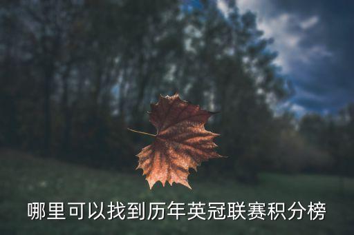 英冠聯賽積分榜，哪里可以找到歷年英冠聯賽積分榜