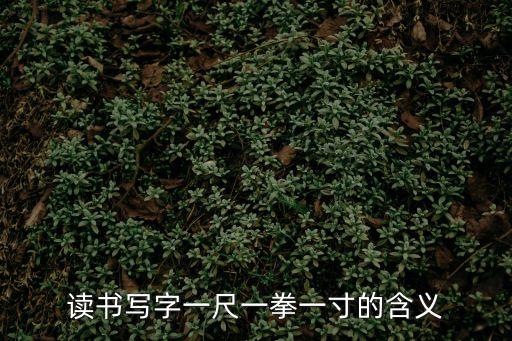 一拳一尺一寸，一尺一拳一寸分別指什么