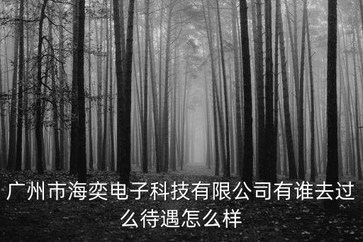 廣州市海奕電子科技有限公司有誰去過么待遇怎么樣