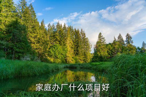 在家辦廠致富項(xiàng)目，在家辦廠有什么好項(xiàng)目