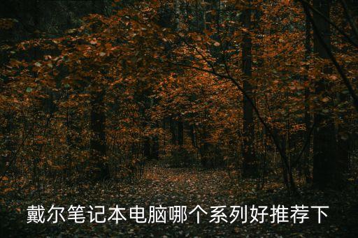 戴爾筆記本電腦哪個系列好推薦下
