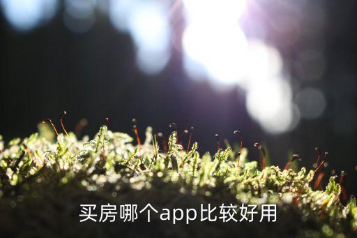 廣州買房去哪個(gè)app好，看房的話房產(chǎn)網(wǎng)選擇哪一個(gè)我先居廣州急在線等