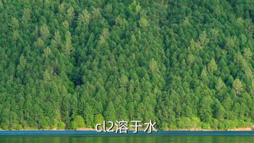 cl2溶于水