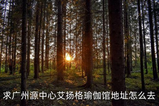 艾楊格瑜伽，艾揚格學起來會不會比普通的瑜伽要難吖會很容易拉傷筋骨嗎