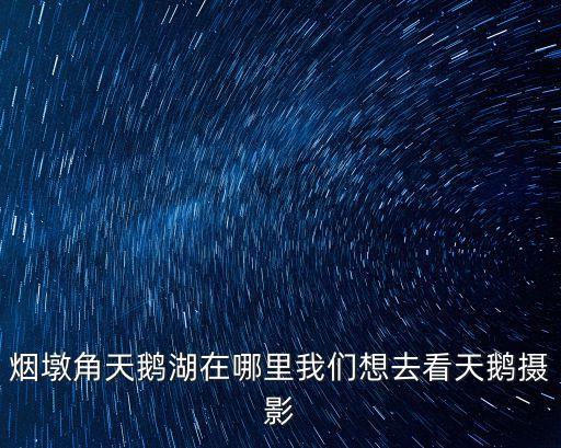 煙墩角天鵝湖在哪里我們想去看天鵝攝影