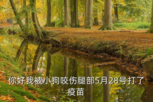 5月28日廣州員村疫苗接種，日發帖數恢復方式非得