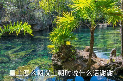 朝議，中國古代朝議制度演變的特點及原因