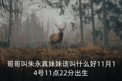 哥哥叫朱永真妹妹該叫什么好11月14號11點22分出生