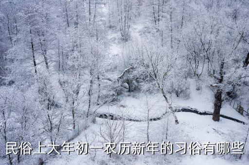 民俗上大年初一農歷新年的習俗有哪些